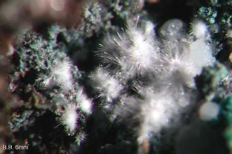 New Page 21 [www.wagnerul.de]